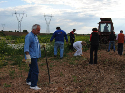 Σώζουν παραδοσιακές ποικιλίες!
