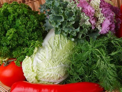 Η διατροφή του Χορτοφάγου-Μαραθωνοδρόμου αθλητή