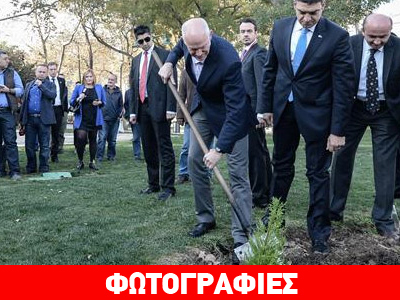 Ο ΓΑΠ φυτεύει δέντρα στο Gezi!