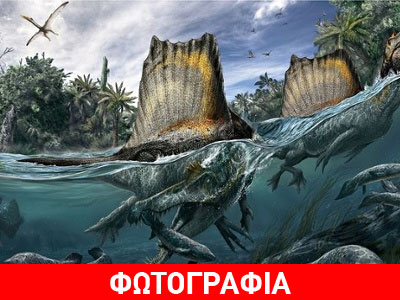 Ανακαλύφθηκε ο πρώτος αμφίβιος δεινόσαυρος που έτρωγε καρχαρίες