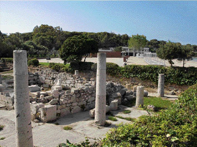 Πουλάνε και τον ναό του Απόλλωνα Ζωστήρα;