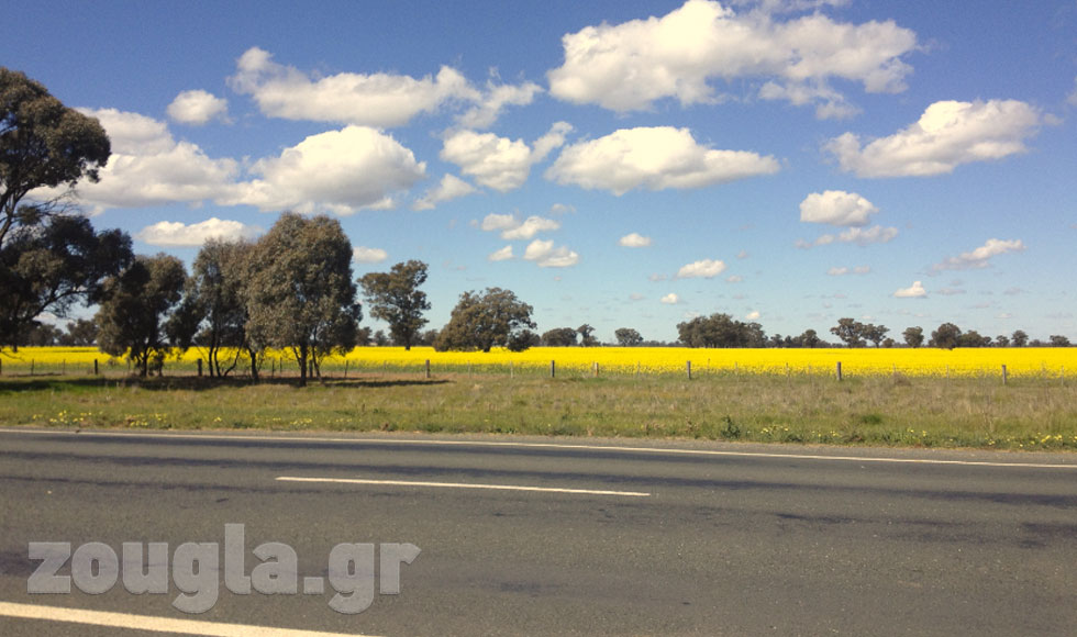Άγρια και όμορφη