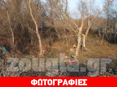 Kαταγγελίες για παράνομη υλοτομία στη Μαΐστρο