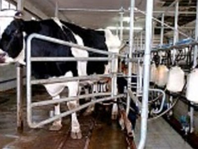 Προσωρινή αναστολή λειτουργίας στην ΕΒΡΟΦΑΡΜΑ ΑΒΕΕ