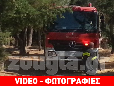 Συναγερμός για την πυρκαγιά στο δάσος του Καρέα