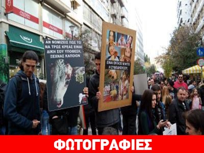 Αθήνα: Διαμαρτυρία των Vegan στην οδό Ερμού