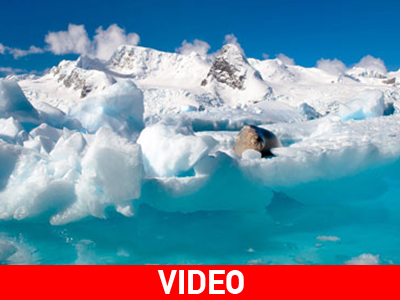 Το τέλος της Αρκτικής