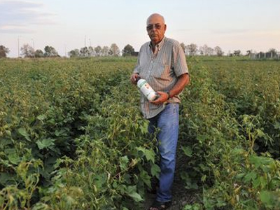 Θεσσαλονίκη: Εισαγγελική παρέμβαση για επικίνδυνο φυτοφάρμακο Θεσσαλονίκη: Εισαγγελική παρέμβαση για επικίνδυνο φυτοφάρμακο