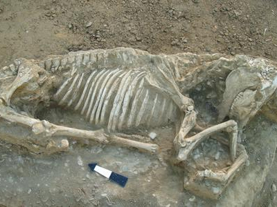 Αρχαϊκή νεκρόπολη αποκαλύφθηκε στη Χίο