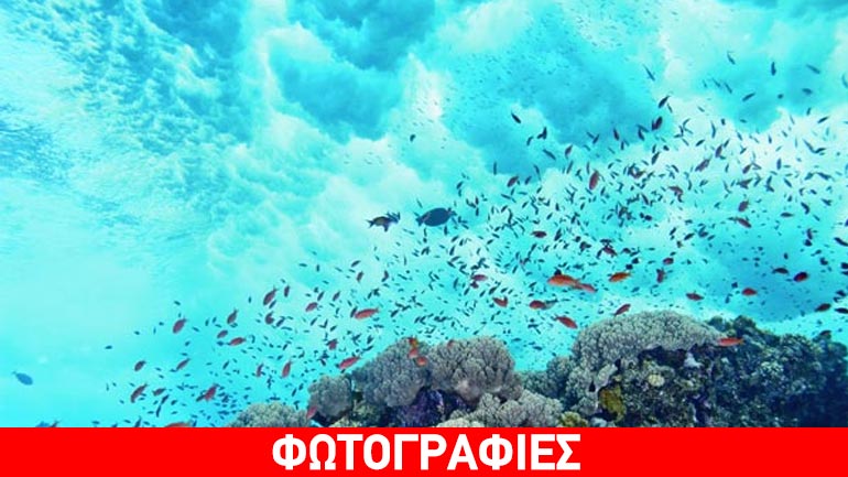 Οι καλύτερες τοποθεσίες για καταδύσεις στον κόσμο