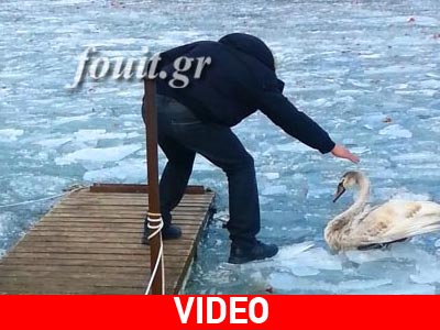 H παγωμένη λίμνη των κύκνων στην Καστοριά