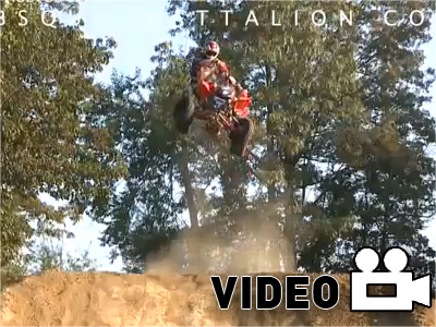 Γουρούνες εν δράσει