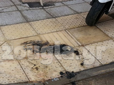 Προσαγωγές για το έγκλημα στο Αιγάλεω