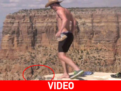 Αμοιβή 12.600 ευρώ για τον εντοπισμό τουρίστα που κλώτσησε σκίουρο