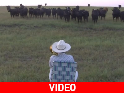 Το κάλεσμα του γελαδάρη…