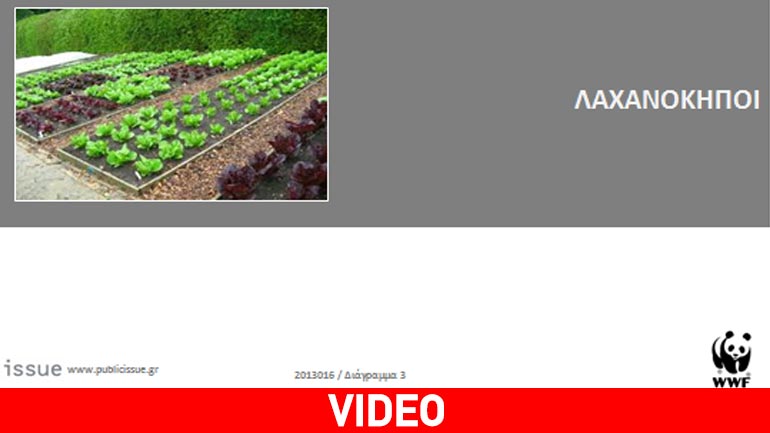 WWF: 6 στους 10 Έλληνες «ψηφίζουν» αστικούς λαχανόκηπους