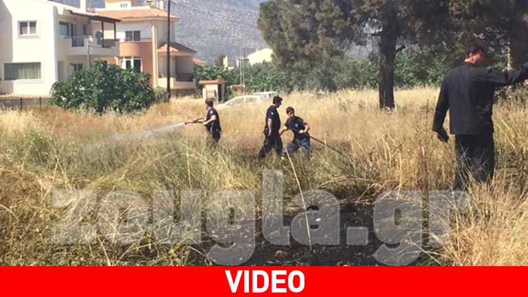 Φωτιά στη Βάρκιζα