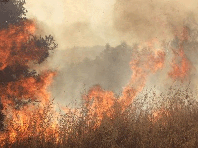 Υπό μερικό έλεγχο τέθηκε η μεγάλη φωτιά στην Κορινθία