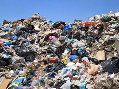 Έκλεψαν 18.000 κέικ από χωματερή και τα προώθησαν στη «μαύρη αγορά»