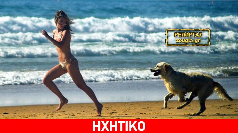 Τι ισχύει για τις επισκέψεις με τα κατοικίδιά μας στις παραλίες