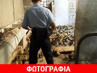 Eκδικήθηκε τον εργοδότη του με… παπάκια!