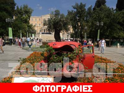 Πράσινο στο γκρίζο κέντρο της Αθήνας