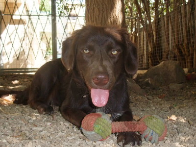 Ο αδέσποτος Casper