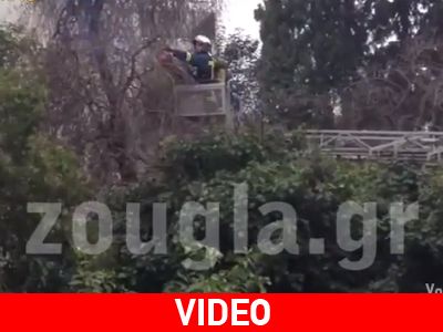 Φωτιά σε υπόγειο γκαράζ στο Χαλάνδρι