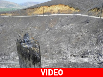 Στα καμένα της Βοιωτίας