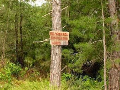 ΤΑΙΠΕΔ: Εξώσεις στους καταπατητές με διαδικασίες εξπρές