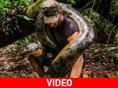 Θύελλα αντιδράσεων για το… ανακόντα του Discovery Channel