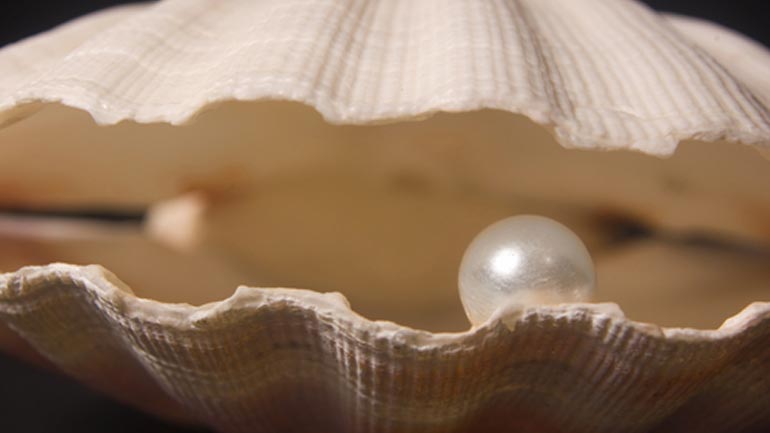 Ανακάλυψαν μαργαριτάρι ηλικίας 2.000 ετών!