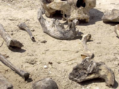 Ιράκ: Σκότωσαν 25 Γεζίντι και τους πέταξαν σε λάκκο