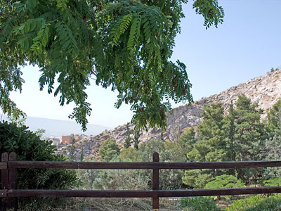 Καθαρισμός στο Άλσος Τουρκοβουνίων