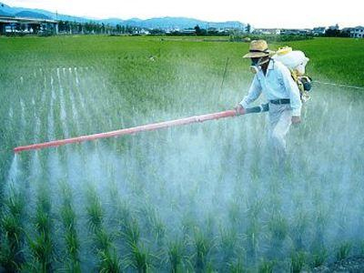 Ακατάλληλα ζιζανιοκτόνα εντοπίστηκαν στη Χαλκιδική