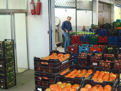 «Τρόμος» μεσαζόντων μπρος στο κίνημα της πατάτας