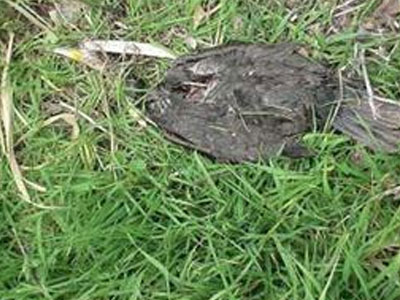 Πρέβεζα: Απειλείται με πλήρη καταστροφή το Βαθύ