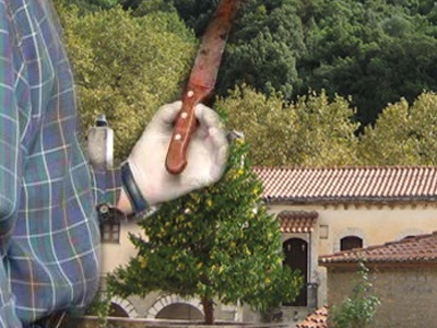 Σοκ για τη δολοφονία εν μέση οδώ