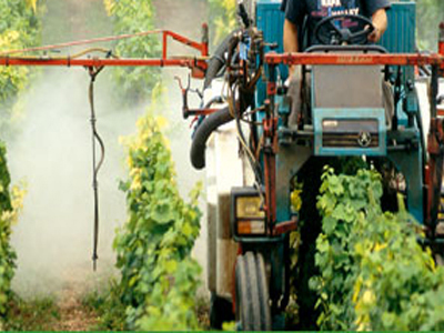 Τα φυτοφάρμακα «πνίγουν» τη Θεσσαλία