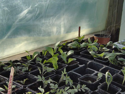 Οι αγρότες των πολυκατοικιών…