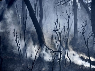 Σε ύφεση η φωτιά στην Κύμη