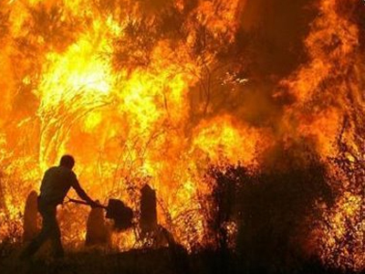 Η «ανατομία» των πυρκαγιών (2000 – 2011)