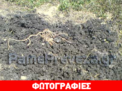 Τόνοι λυματολάσπης σε χωράφι στο Καναλάκι Πρέβεζας