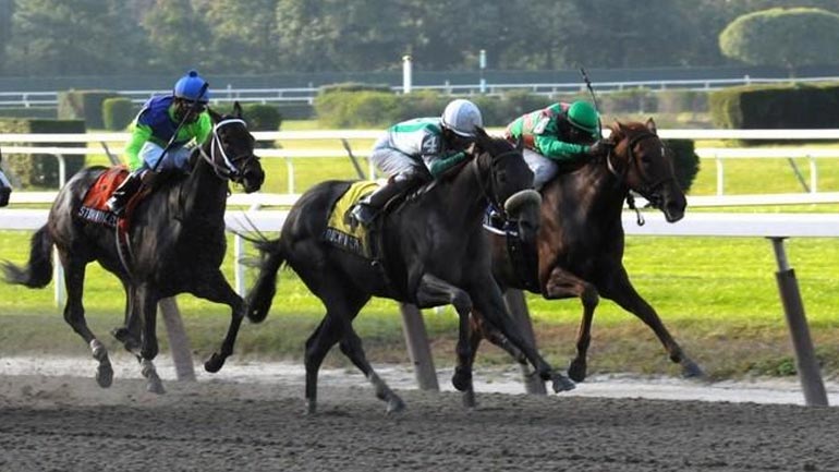 Στον ΟΠΑΠ ο αποκλειστικός έλεγχος του αμοιβαίου ιπποδρομιακού στοιχήματος