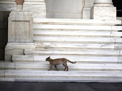 Θα φάει κι εμάς η συνεργάτιδα του υπουργού