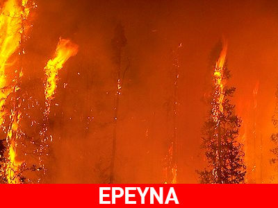 Κρήτη: πρωταθλήτρια στις καμένες εκτάσεις