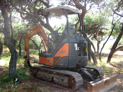 «Εργολαβικές» παρεμβάσεις σε δάσος