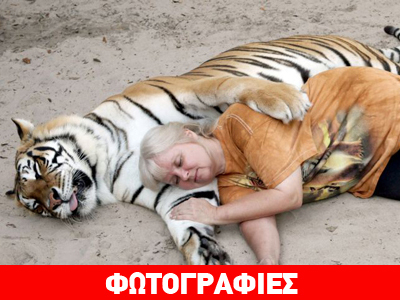 Γυναίκα ζει παρέα με δύο τίγρεις!