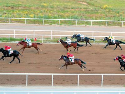 Προσφορές ΟΠΑΠ και Intralot για το ιπποδρομιακό στοίχημα