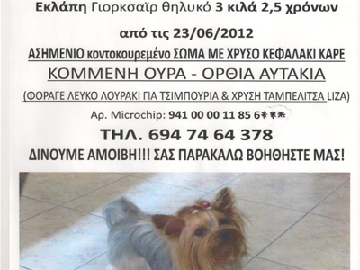 Έκλεψαν θηλυκό Γιορκσάιρ από το Περιστέρι